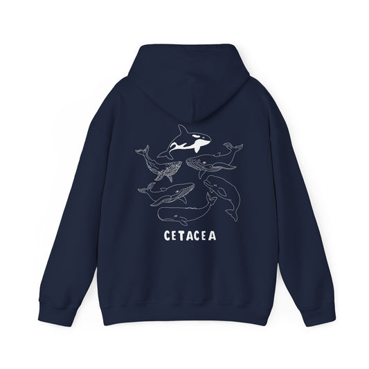 cetacea hoodie