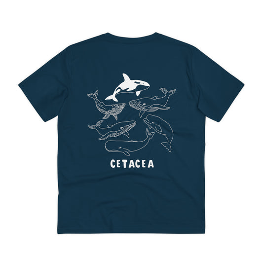 cetacea