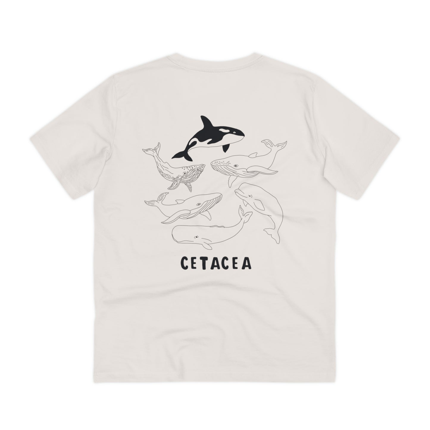 cetacea