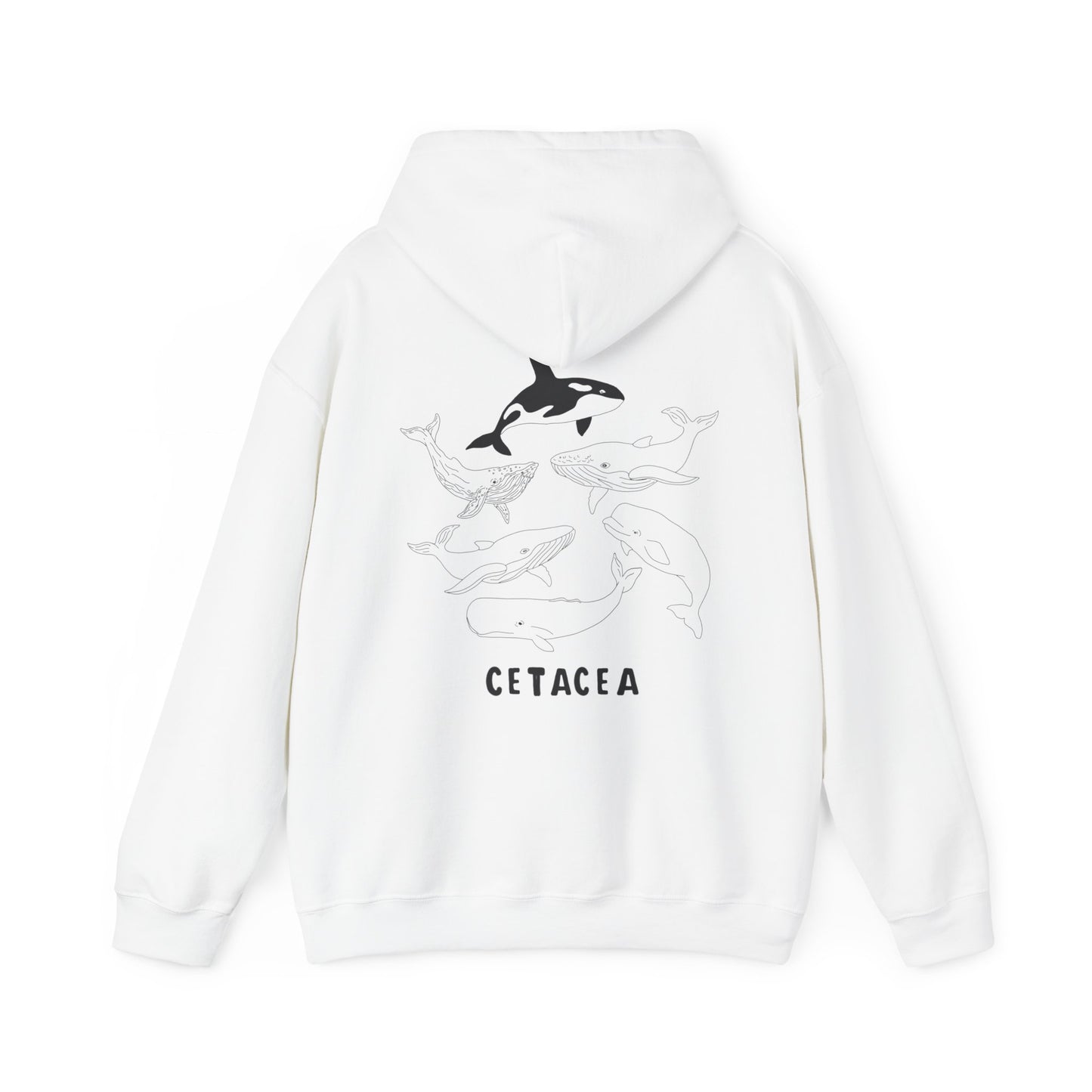 cetacea hoodie