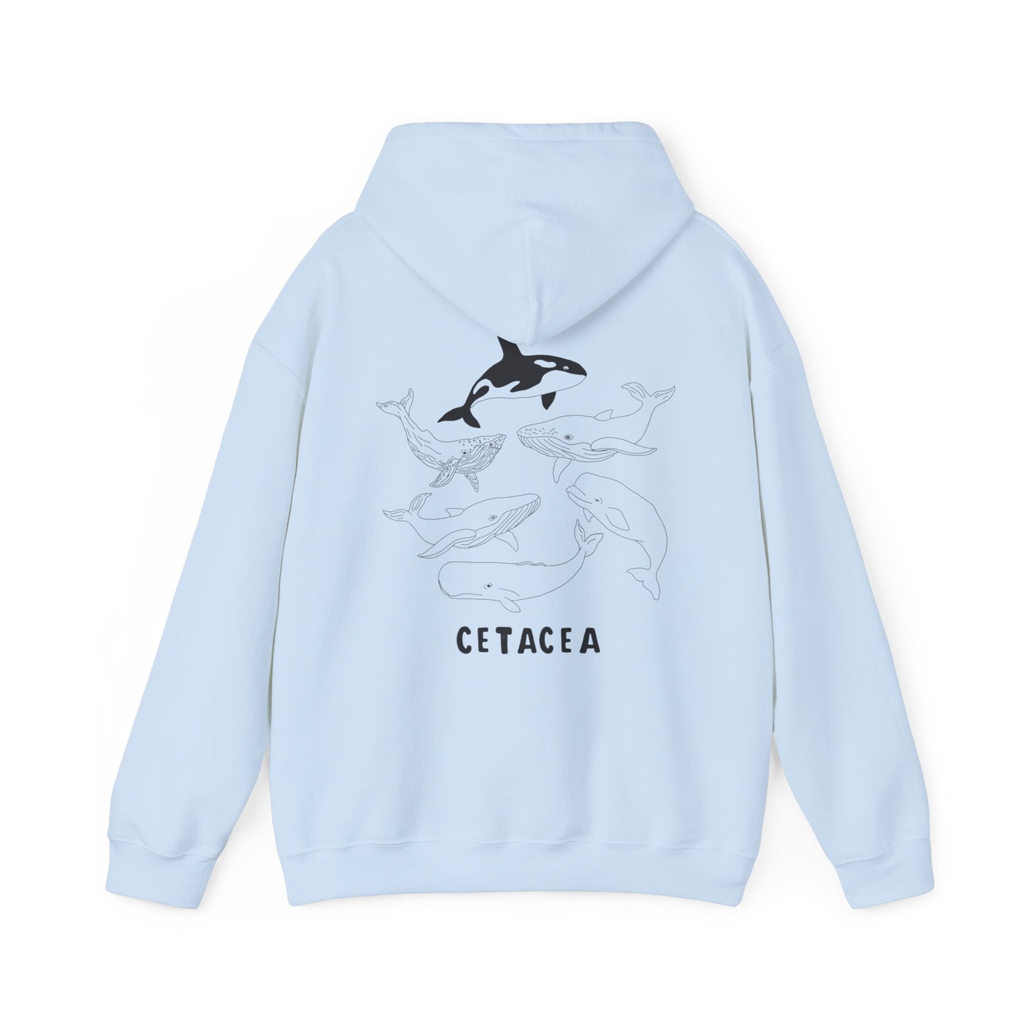 cetacea hoodie